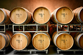 Our winery